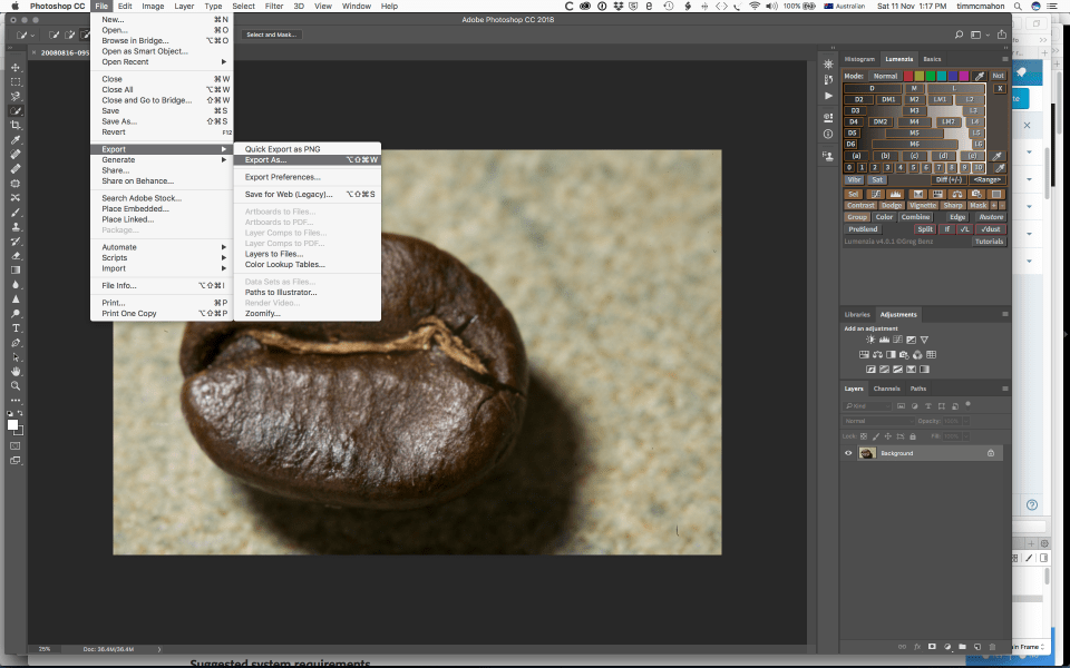 Screen Shot 2017-11-11 at 1.17.24 PM
