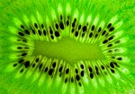 Rob Innes - Backlit Kiwi - Print- HC